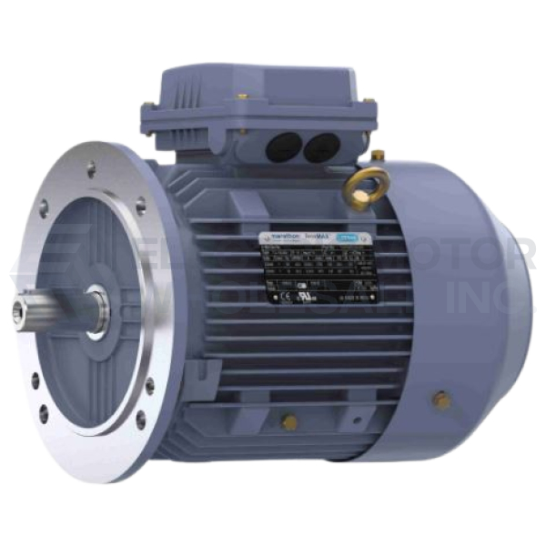 Image for 4HP MARATHON 1765RPM 100L IP55 3PH B5 TERRAMAX IEC MOTOR R252